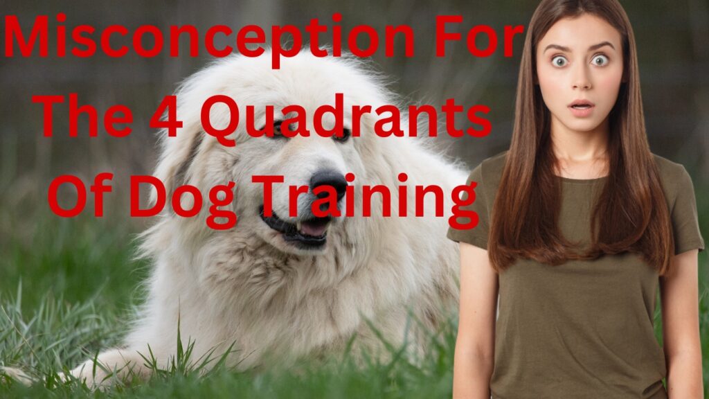 4 quadrants of dog training