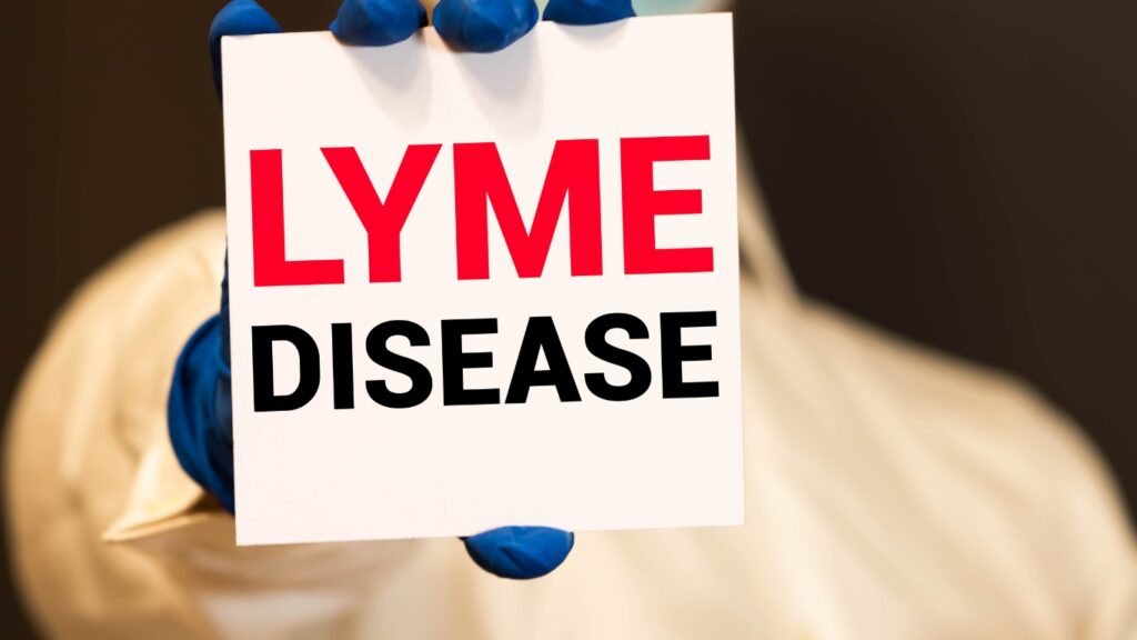 Lyme Disease Vaccine for dogs