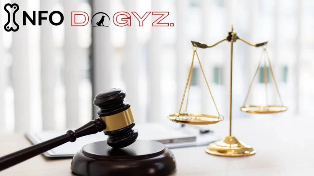 Court laws Infodogyz