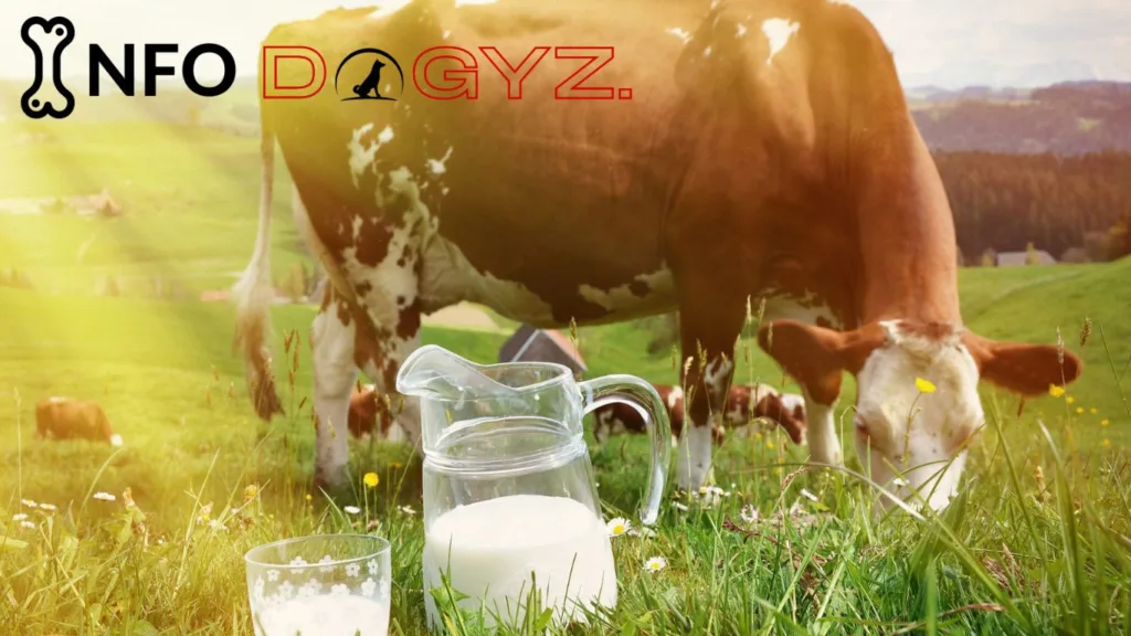 Cow Milk Infodogyz