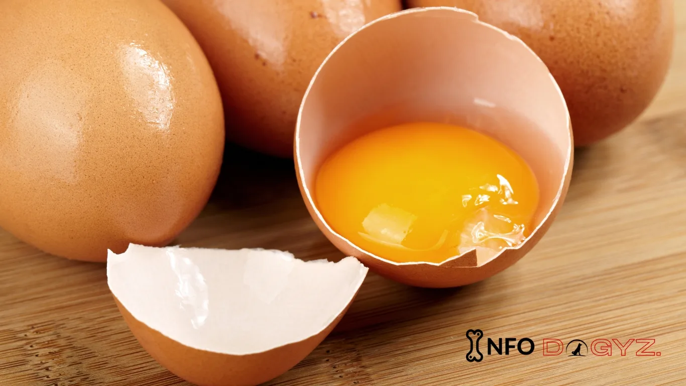 Cracked Raw Egg Over Dog Food: Is It Safe? | Infodogyz