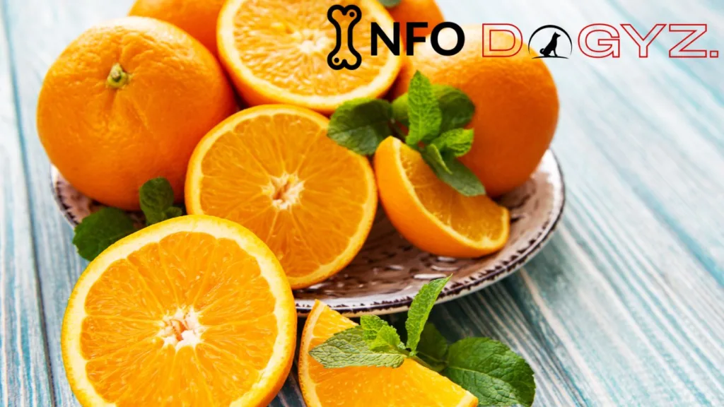 Fresh Oranges Infodogyz