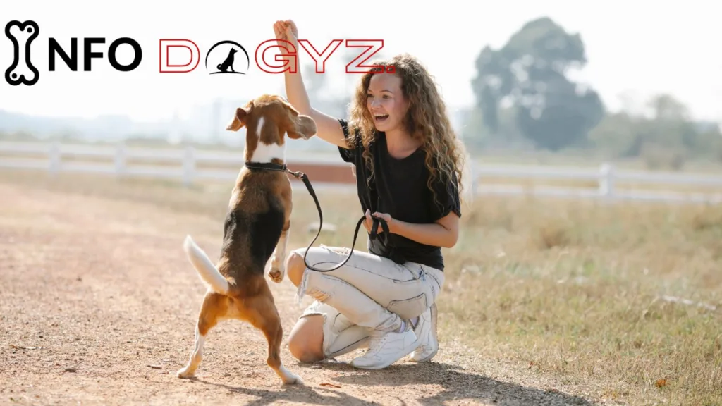 Training and Treats for dogs Infodogyz