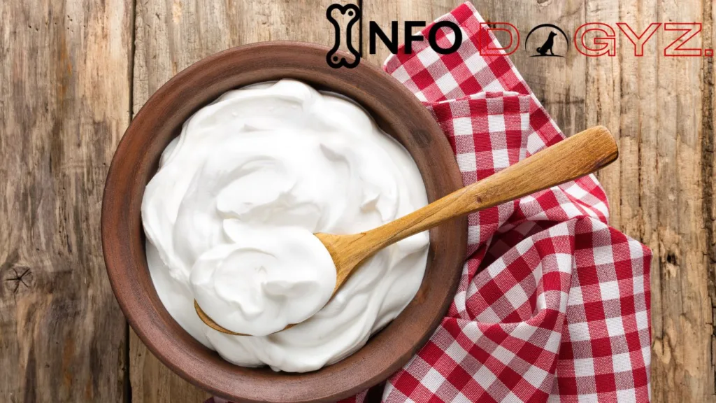 Yogurt Infodogyz