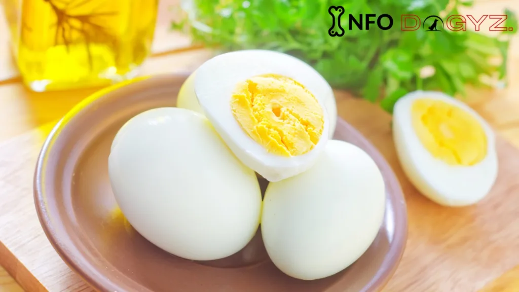 cooked egg Infodogyz