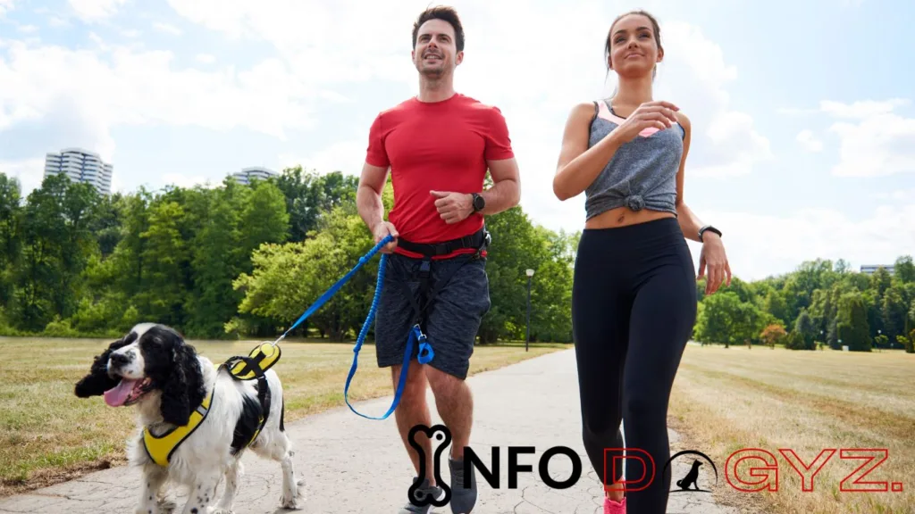 exercise with dog Infodogyz