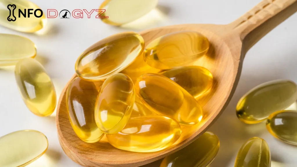 fish oil 1 Infodogyz