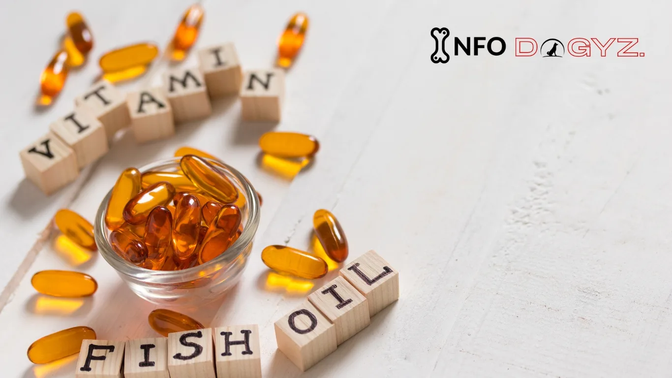 I Almost Killed My Dog With Fish Oil-What To Do Now | Infodogyz