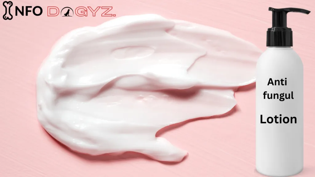 lotion Infodogyz