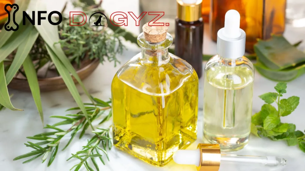 neem oil or lemon eucalyptus oil Infodogyz