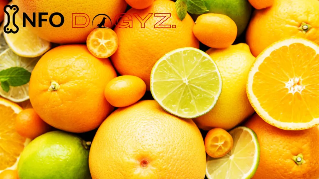 Citrus Infodogyz