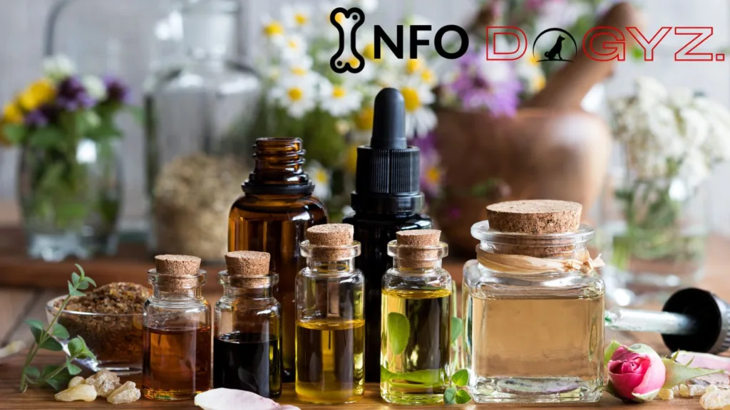 Essential oil Infodogyz