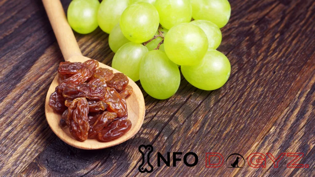 Grapes and Raisins Infodogyz