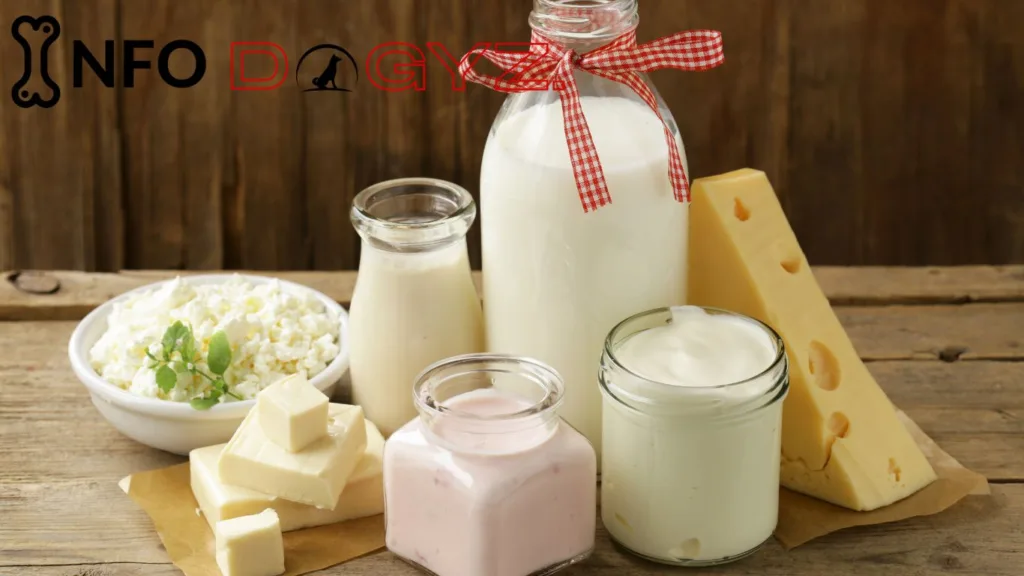 Milk and Dairy Products Infodogyz