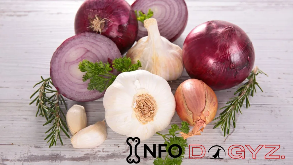 Onions and Garlic Infodogyz