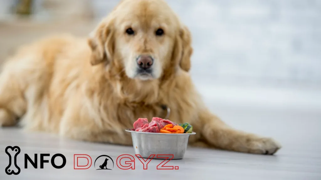 dog eating raw meat 1 Infodogyz